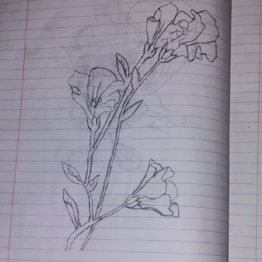 Floral Sketch Art Print